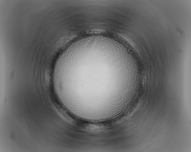 X0000113780455200910071227