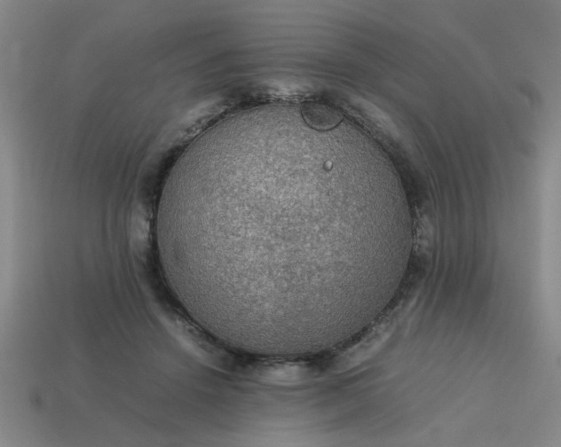 X0000113780456200910071227