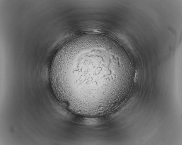 X0000113780457200910071227