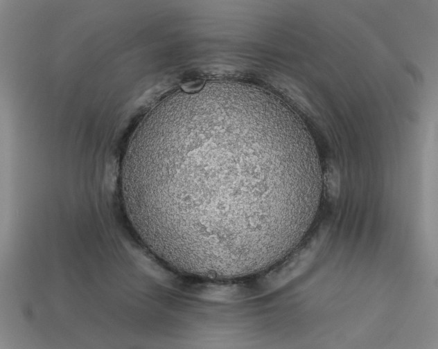 X0000113780458200910071227