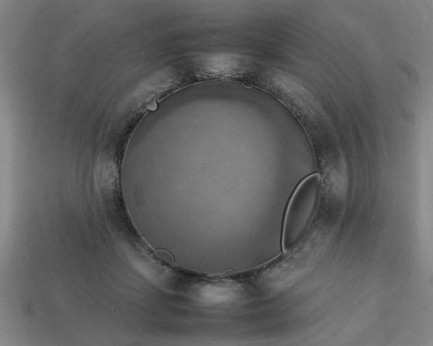 X0000113780459200910071227