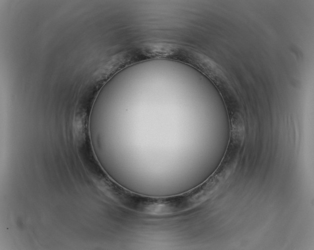 X0000113780460200910071227