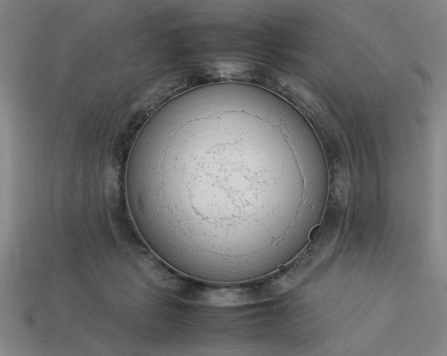 X0000113780461200910071227