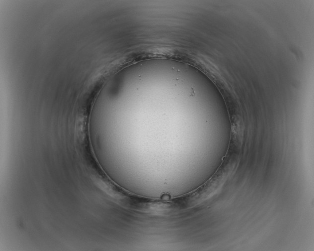 X0000113780462200910071227