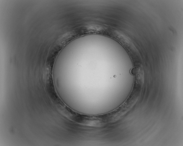 X0000113780463200910071227