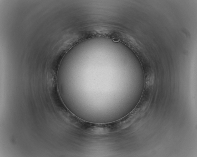 X0000113780464200910071227