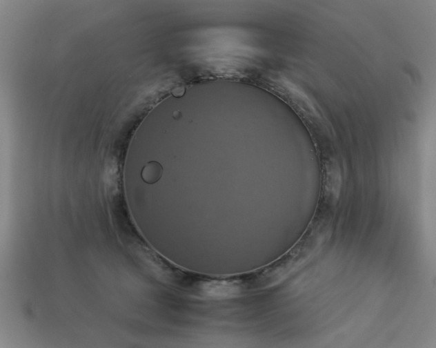 X0000113780465200910071227