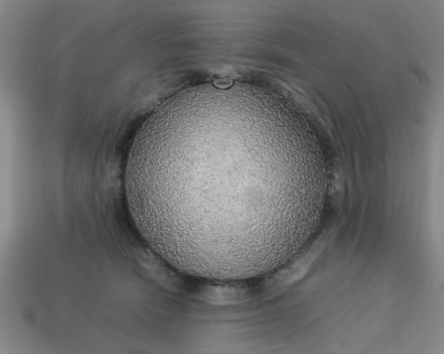 X0000113780466200910071227