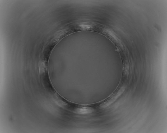 X0000113780467200910071227