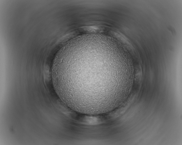 X0000113780469200910071227