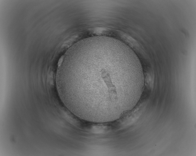 X0000113780470200910071227