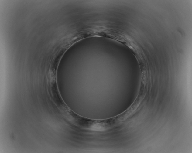 X0000113780471200910071227