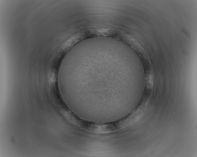 X0000113780472200910071227