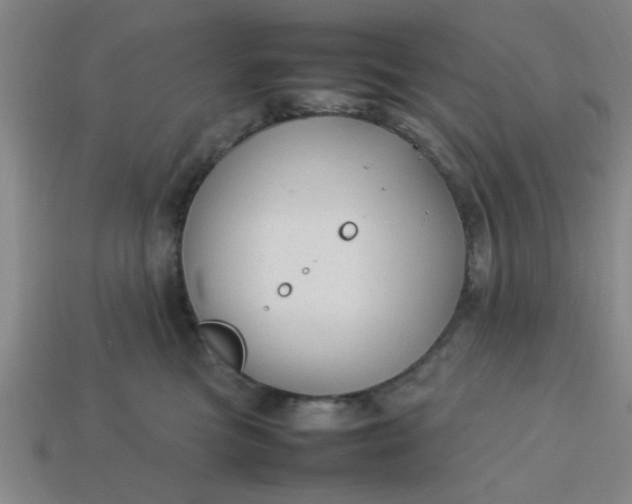 X0000113780473200910071227