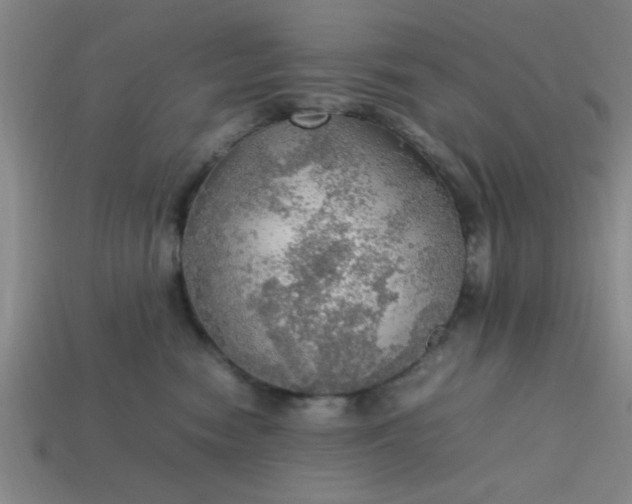 X0000113780474200910071227