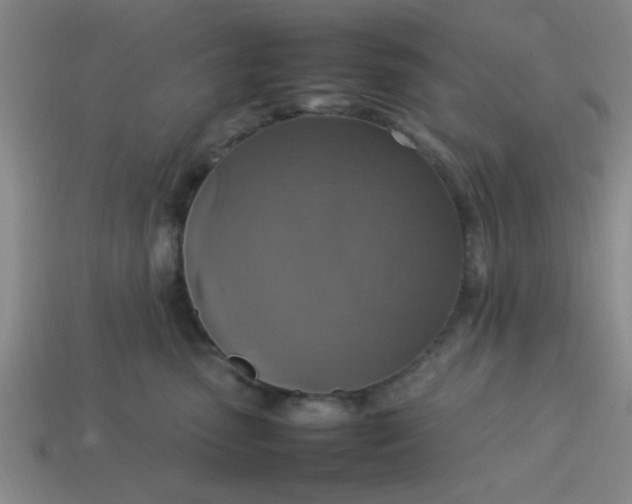 X0000113780475200910071227