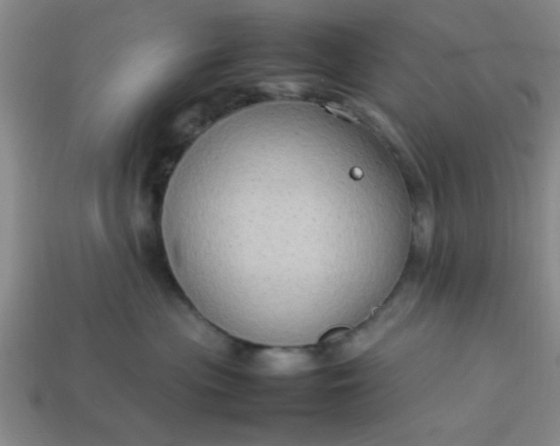 X0000113780477200910071227