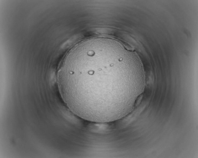 X0000113780478200910071227