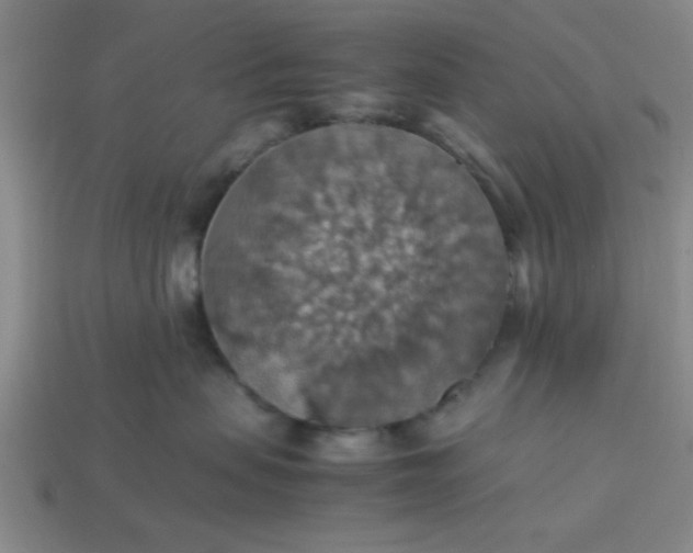 X0000113780479200910071227