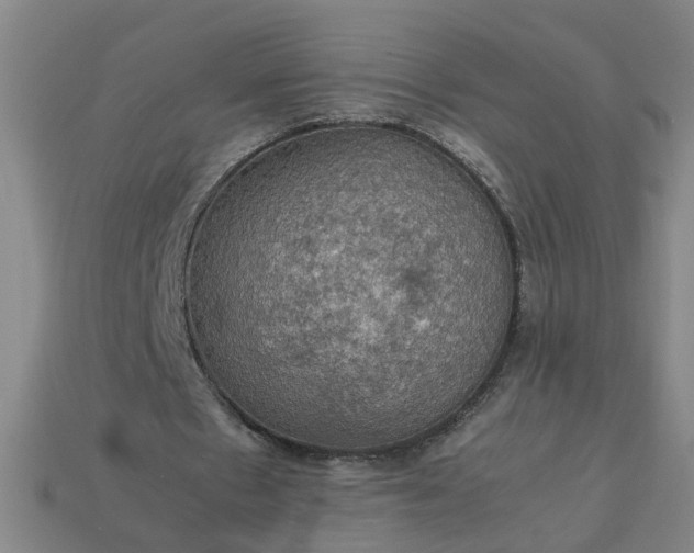 X0000113780481200910071227