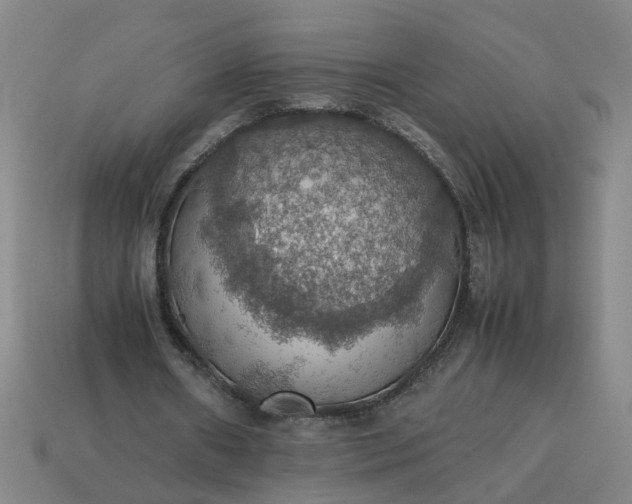 X0000113780482200910071227