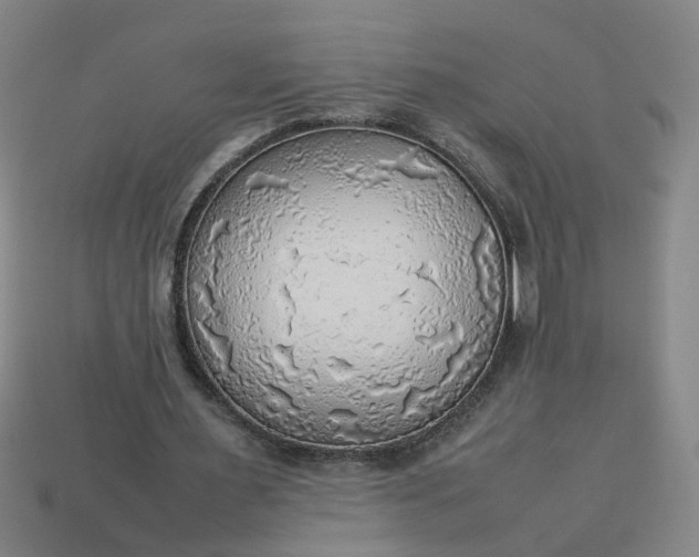 X0000113780483200910071227