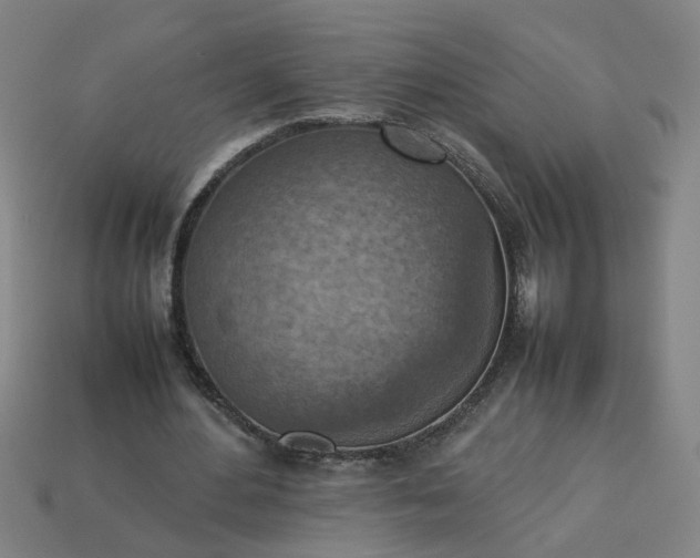 X0000113780484200910071227