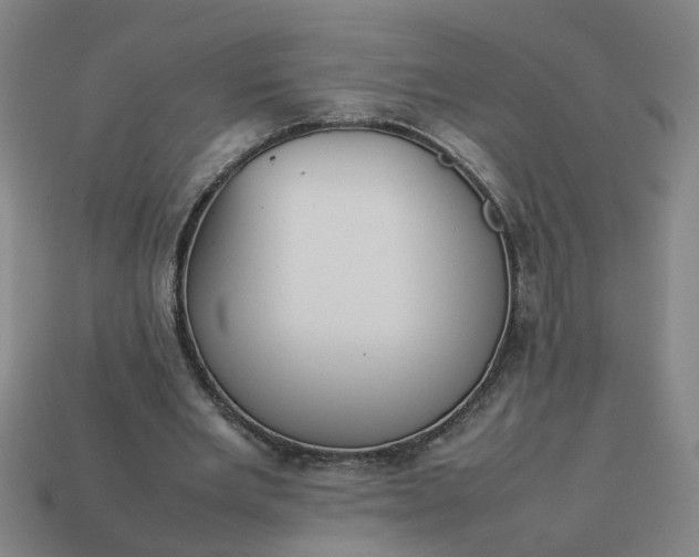 X0000113780485200910071227