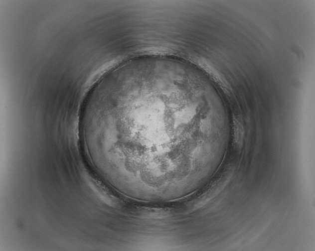 X0000113780486200910071227