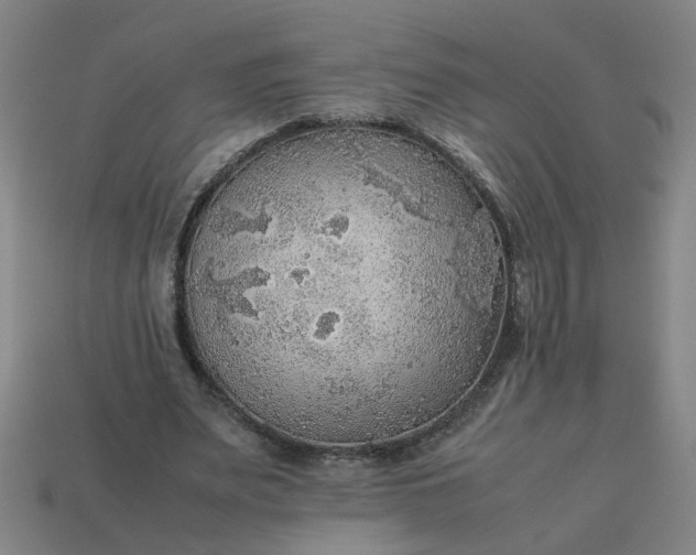 X0000113780487200910071227