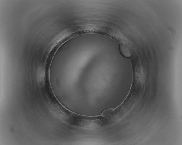 X0000113780488200910071227