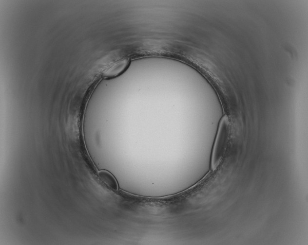 X0000113780489200910071227