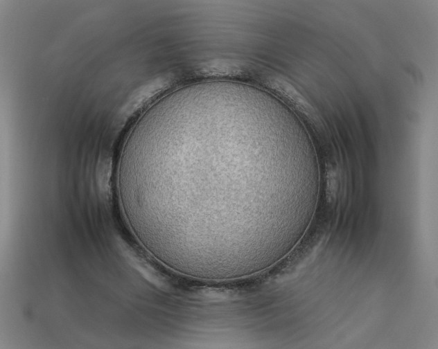 X0000113780490200910071227