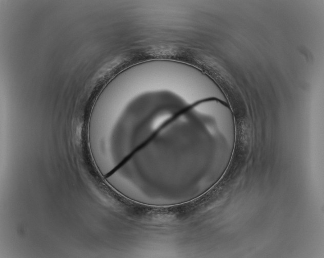 X0000113780491200910071227