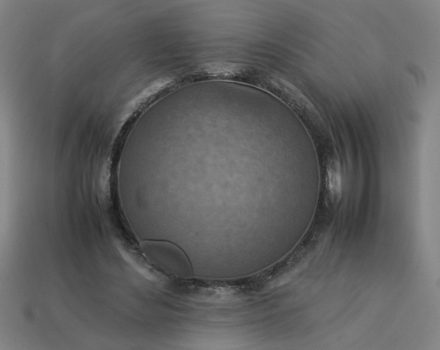 X0000113780492200910071227