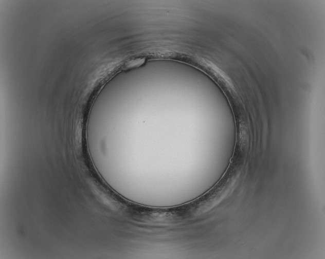 X0000113780493200910071227