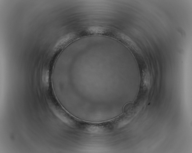 X0000113780494200910071227