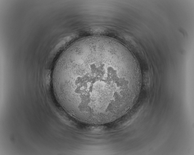 X0000113780495200910071227