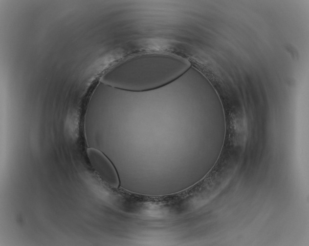 X0000113780496200910071227