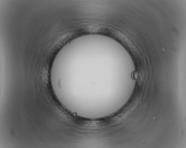 X0000113780497200910071227