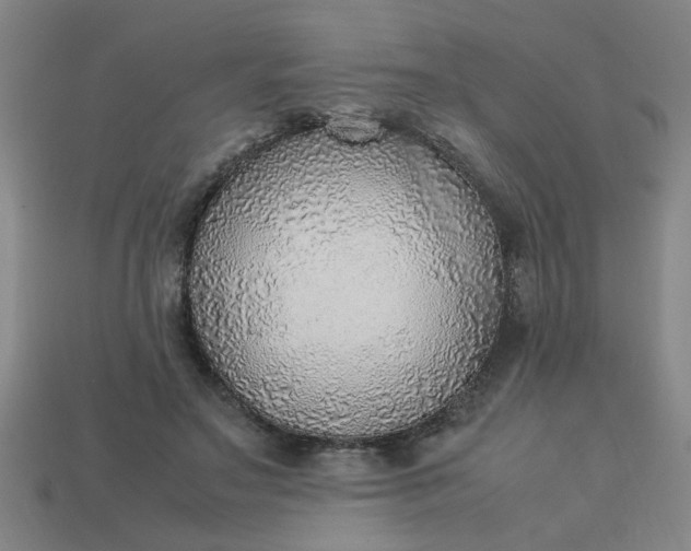 X0000113780499200910071227