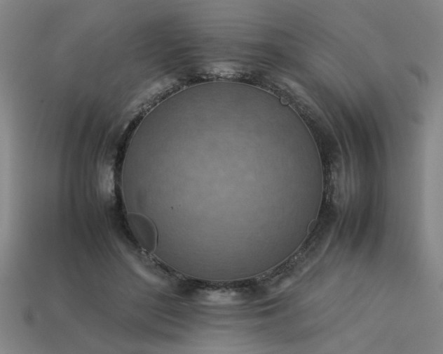 X0000113780500200910071227