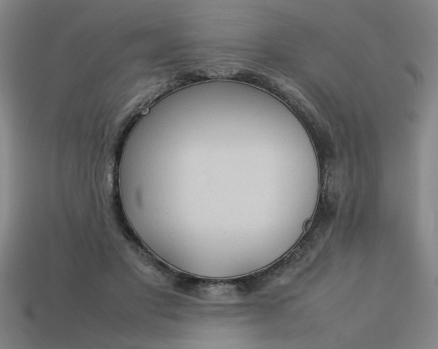 X0000113780501200910071227