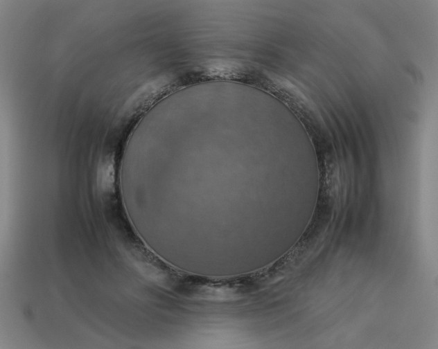 X0000113780502200910071226