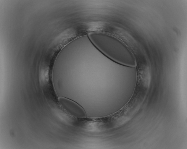 X0000113780504200910071226