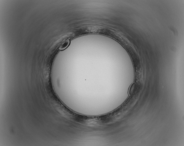 X0000113780505200910071226