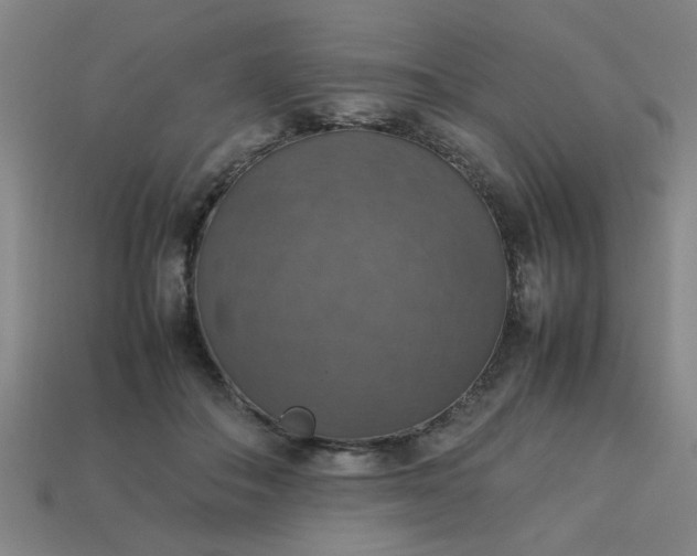 X0000113780506200910071226