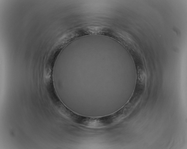 X0000113780507200910071226