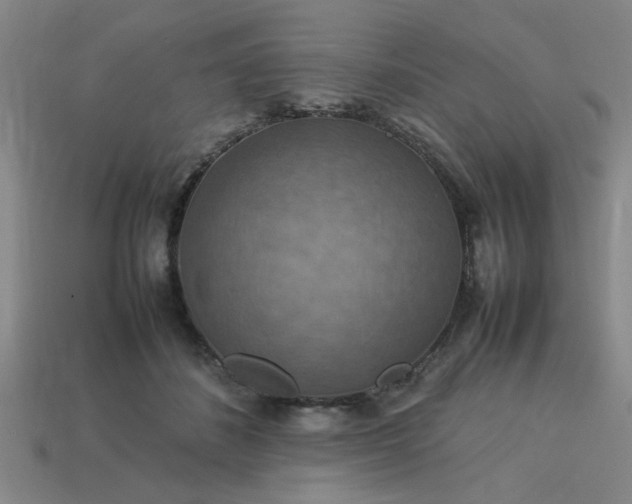 X0000113780508200910071226