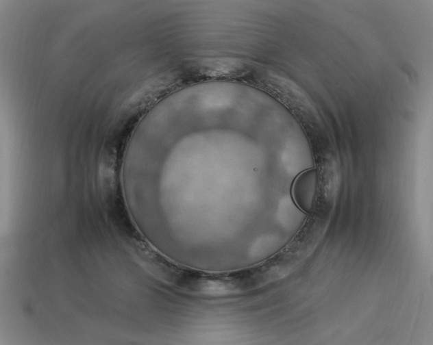 X0000113780510200910071226